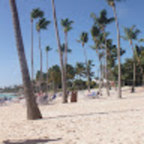 Meet your Posher, Naz - Picture 1 of 1